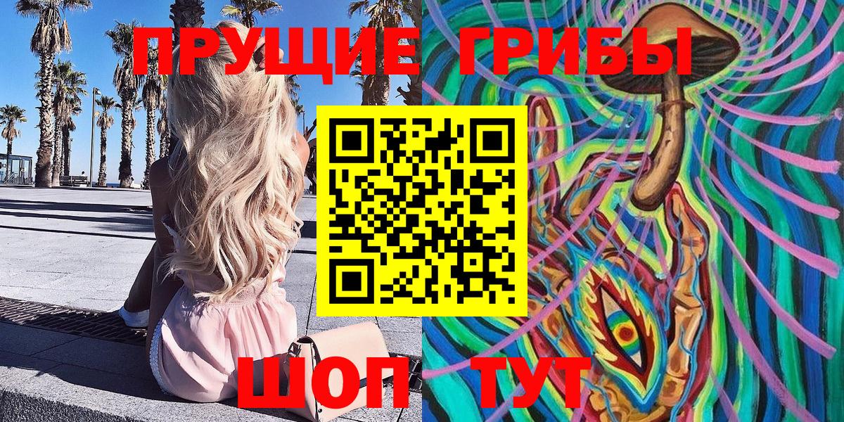 Галлюциногенные грибы Psilocybine cubensis Уварово
