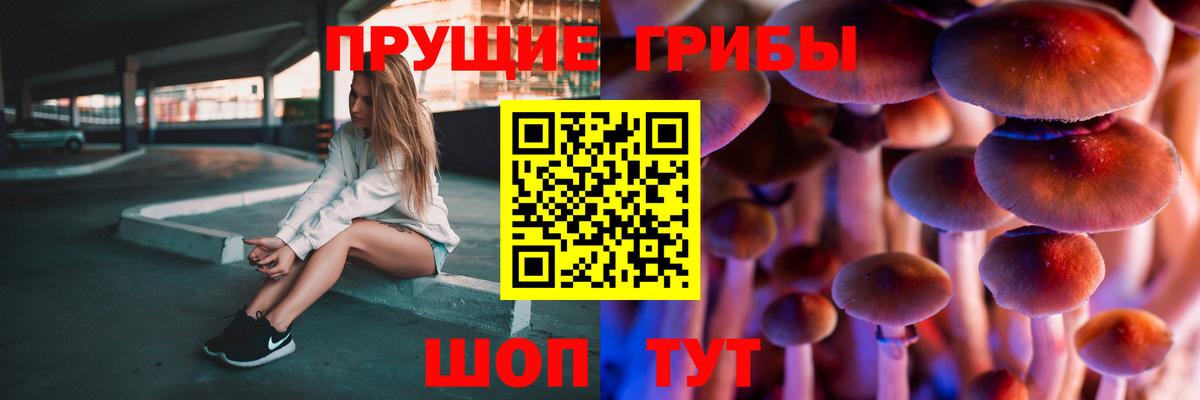 Уварово  купить наркотики сайты  Псилоцибиновые грибы ЛСД  Вход с VPN  Псилоцибиновые грибы Cubensis 